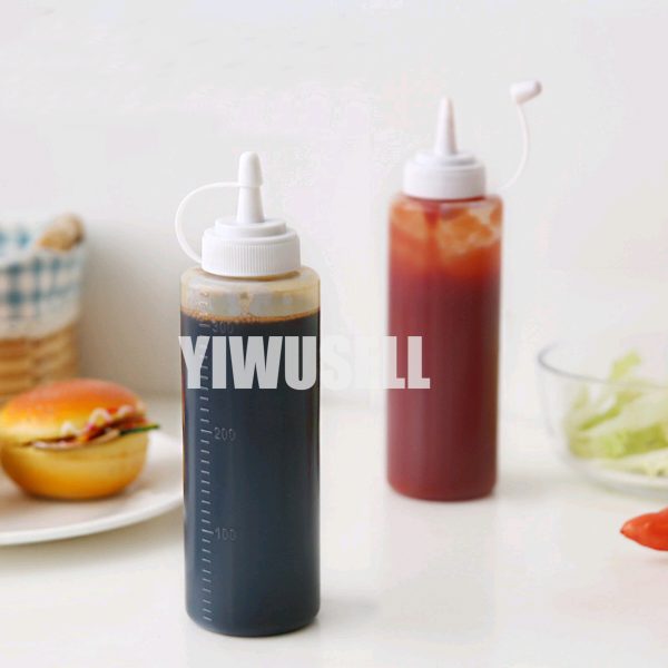 Best Plastic Squeeze Bottles for Condiments sauces 2pcs on sale 09-yiwusell.cn