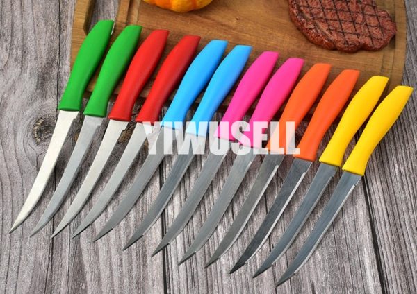 Best plastic Steak Knife Set 2pcs for sale 04-yiwusell.cn