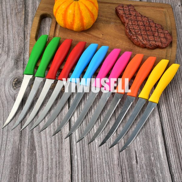 Best plastic Steak Knife Set 2pcs for sale 07-yiwusell.cn